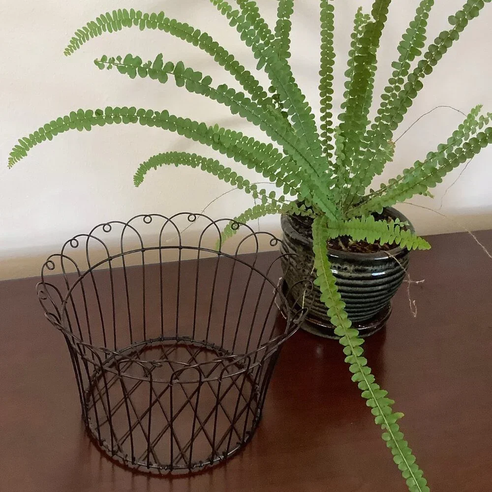 EUC Black Open Wire Basket